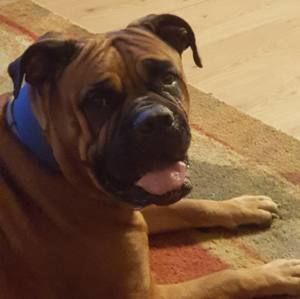 Meet your Posher, Tommy